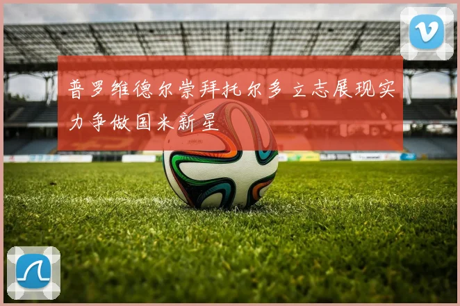 普罗维德尔崇拜托尔多立志展现实力争做国米新星